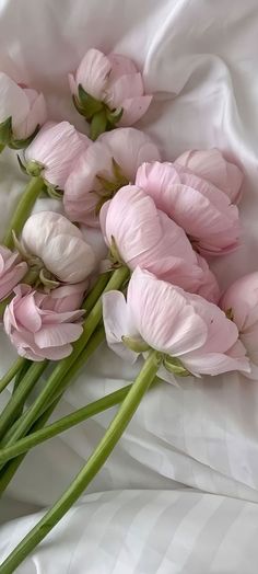 some pink flowers are laying on a white sheet