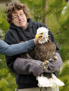 an older woman holding a bald eagle in her arms