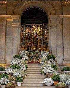 an entrance to a building with potted plants on the steps and chandeliers