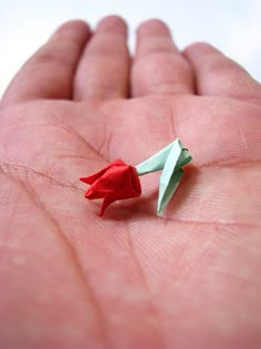 a tiny red flower sitting on top of a person's hand with paper folded in the shape of an origami arrow