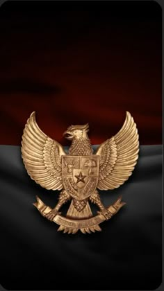 a gold eagle emblem on top of a black and red cloth with the flag in the background