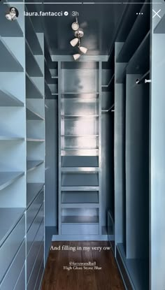 an empty closet with shelves and lights on the ceiling, and a ladder leading up to it