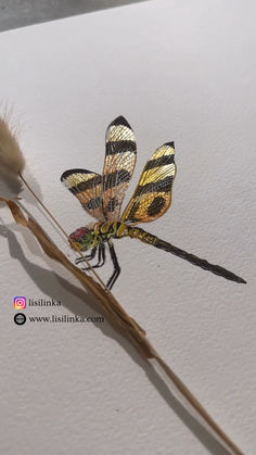 a yellow and black dragonfly sitting on top of a dry grass stalk next to a feather