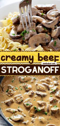 creamy beef stroganonoff with noodles and parsley