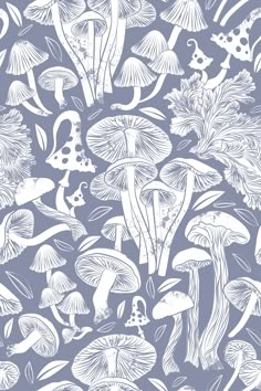 Delicious Autumn botanical poison // light grey background white lined mushrooms , Raspberry Creek Fabrics Mushroom Background, Light Grey Background, Poisonous Mushrooms, Mushroom Wallpaper, Mushroom Drawing, Mushroom Art, Background White, Grey Background, Pastel Wallpaper