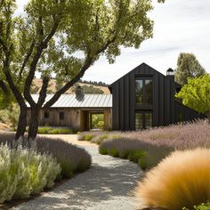 the house is surrounded by lavender and trees