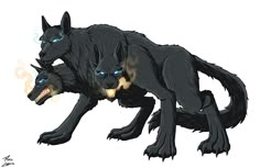 two black wolfs with glowing blue eyes and fangs on their faces, one biting the other's mouth