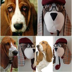 four pictures of dogs wearing hats and scarves, including a basset hound with glasses