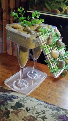 two champagne glasses filled with rocks and plants