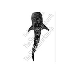 a black and white photo of a shark with spots on it's back end