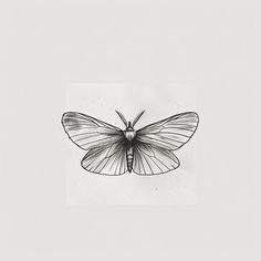 a black and white drawing of a butterfly