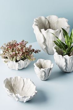 three white ceramic bowls with plants in them