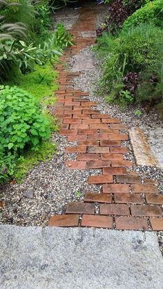 a brick path in the middle of a garden