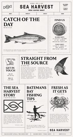 an article in the sea harvest magazine features images of different types of fish and marine creatures