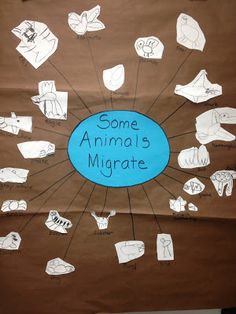 an animal's migrate made out of brown paper with blue circle surrounded by hand drawn images