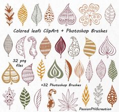 colorful leaf clipart and photoshop brushes for digital scrapbooking or photo overlays