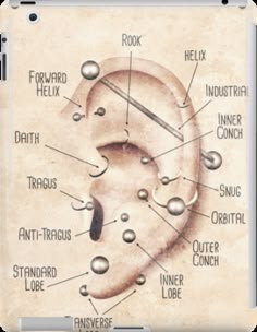 an ear with labels on it and labeled in the words ipad case / skinplate