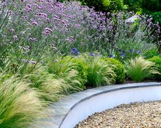 a garden filled with lots of purple flowers