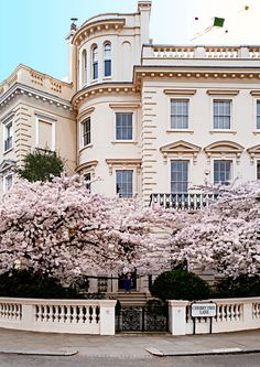 a large white building with pink flowers on the trees