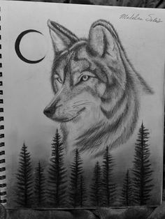 a pencil drawing of a wolf with the moon in the sky and trees behind it