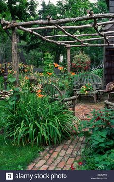 a garden with lots of plants and flowers