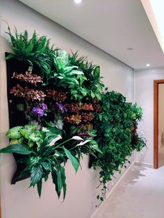 a green wall with plants growing on it