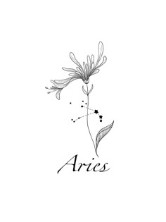 the word aris written in black ink on a white background with a single flower