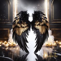 two black and gold angel wings with white feathers