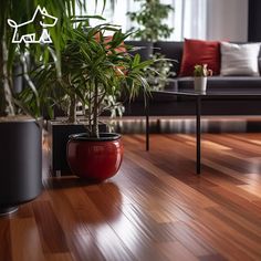 a living room filled with furniture and a potted plant on top of a wooden floor