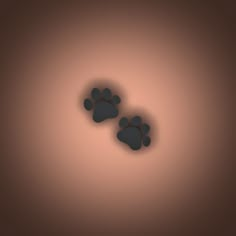 two paw prints are shown on a brown and black background, with the shadow of an animal's paws