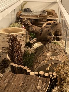 an indoor area with logs and plants in it