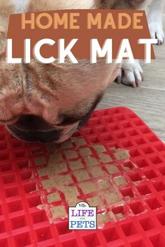 a dog laying on top of a red mat with the words home made lick mat