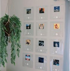 there are many pictures on the wall with plants hanging from it's sides,