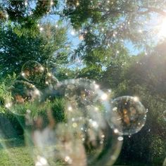 soap bubbles are floating in the air near some trees and bushes on a sunny day