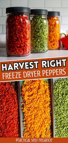 several jars filled with different types of food and the words harvest right freeze dryer peppers