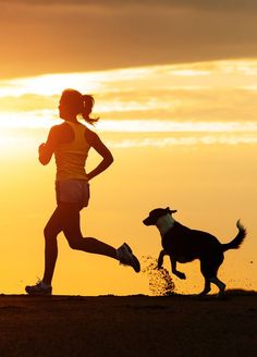 a woman running with her dog in front of the sun and text that reads, the 5 best gps dog trackers