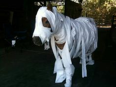 a horse that is dressed up in white cloths and plastic wrapped around it's head