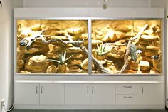 an aquarium with rocks and plants in the middle, behind it is a white cabinet