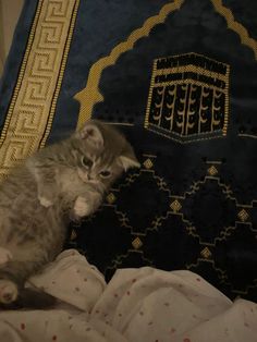 a cat laying on top of a bed next to a blue and gold blanket with an intricate design