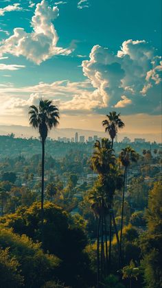 palm trees are in the foreground as the sun sets over a cityscape