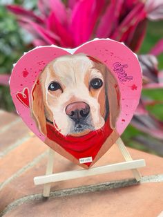 a dog with a pink hat and red bandana on it's head is shown