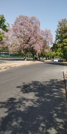 an empty street with trees on both sides