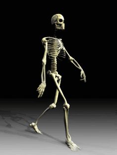 a skeleton is walking in the dark