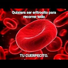 red blood cells with caption in spanish that reads, queprecto qui susten