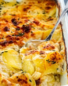 a casserole dish with potatoes and herbs