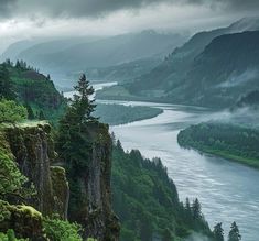 a river flowing through a lush green forest next to a mountain covered in fog and mist