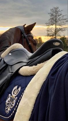 a brown horse wearing a blanket and saddle