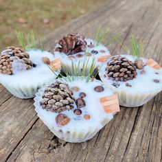 three cupcakes with pine cones and nuts in them sitting on a wooden table