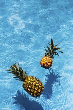 two pineapples floating in a pool of water