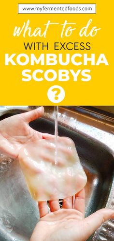 someone is washing their hands in the sink with soap on it and text overlay that reads, what to do with excess kombucha scobys?